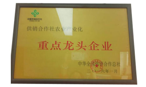 �ص���ͷ��ҵ